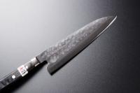 Japanese Gyuto knife [Maboroshi]